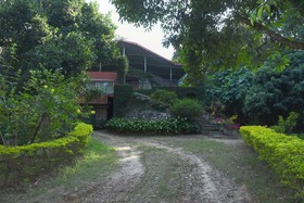 Soreena Farms