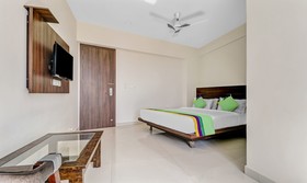 Treebo Trend Punarnava