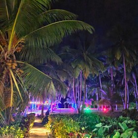 Honey Moon Beach Resort