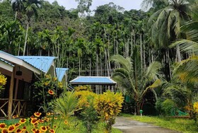 Honey Moon Beach Resort