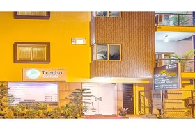 Daffodil Suites
