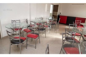 Hibiscus Hebbal