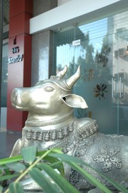 Mastiff Infantry Bengaluru