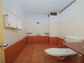 Majestic By OYO Rooms