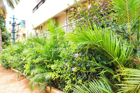 Mapletree Inn