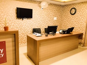 Nexstay Blueberry
