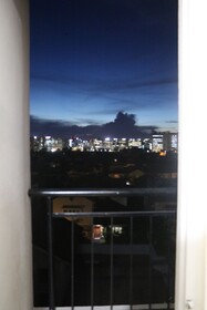 Nexstay Blueberry