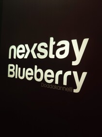 Nexstay Blueberry