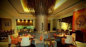 Radisson Blu Hotel, Bengaluru Outer Ring Road
