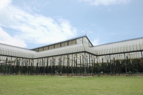 The Fern Residency by OYO