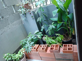 Tranquil Serviced Apartments