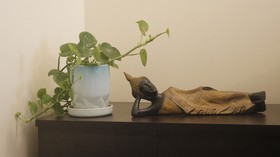 Tranquil Serviced Apartments
