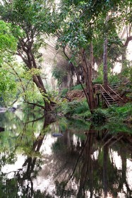 Amanvana Spa Resort - Coorg