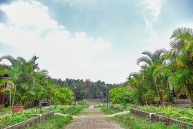 Clover Holiday Village