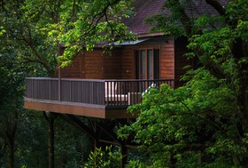 The Tamara  Coorg