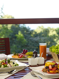 The Tamara  Coorg