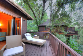 The Tamara  Coorg