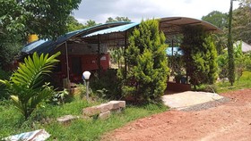 Birds Link Homestay