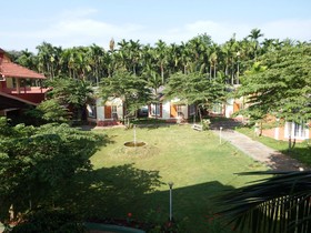 The Casiita