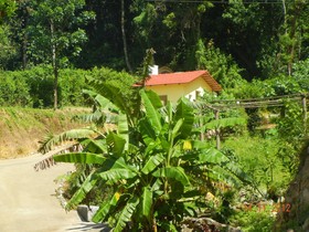 Amritasthanam Guest House & Retreat