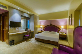 Hotel Sai Palace