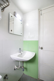 White Parrot