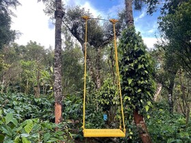 Suggi Nature Stay Coorg
