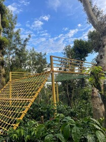 Suggi Nature Stay Coorg