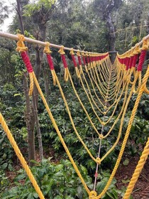 Suggi Nature Stay Coorg