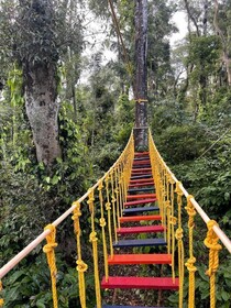 Suggi Nature Stay Coorg