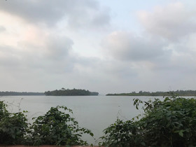 Paradise Lagoon