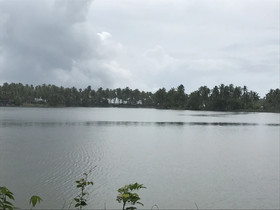 Paradise Lagoon