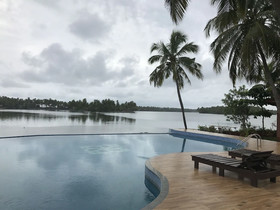 Paradise Lagoon