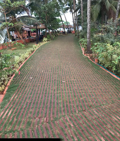 Paradise Lagoon