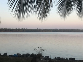 Paradise Lagoon