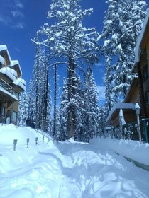 Hotel Pine Spring Gulmarg