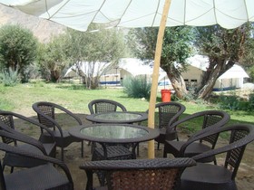 Double Humped Camp - Hunder