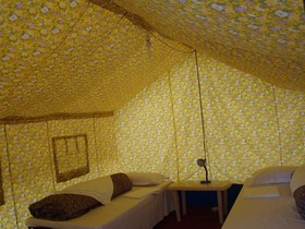 Double Humped Camp - Hunder