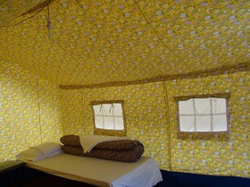 Double Humped Camp - Hunder