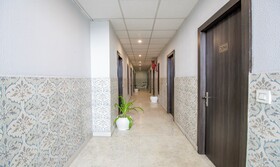 Treebo Trinetar International