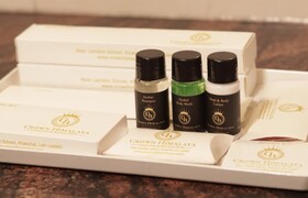 Crown Himalaya Hotel