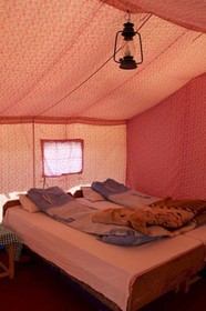 Mystique Meadows Camp