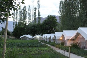 Mystique Meadows Camp