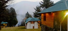 Pahalgam Woods