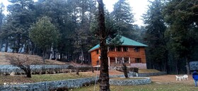 Pahalgam Woods