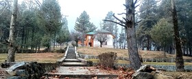 Pahalgam Woods