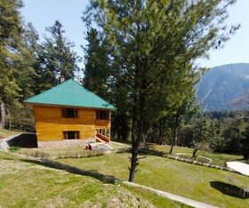 Pahalgam Woods