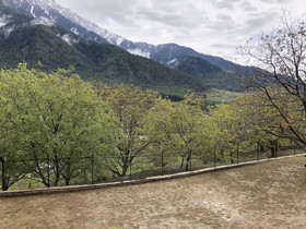 The Chinar Resort & Spa