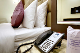The Chinar Resort & Spa