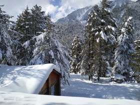 Welcomhotel Pine-n-Peak
